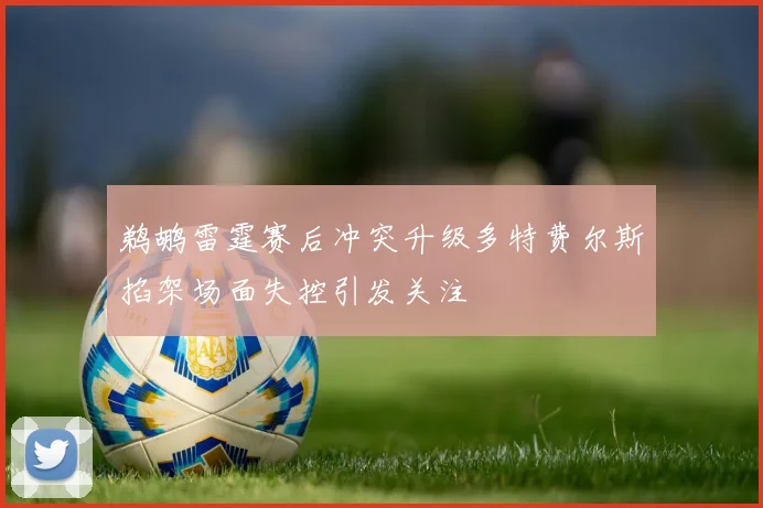 鹈鹕雷霆赛后冲突升级多特费尔斯掐架场面失控引发关注
